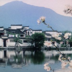 Meet your Posher, Johnny